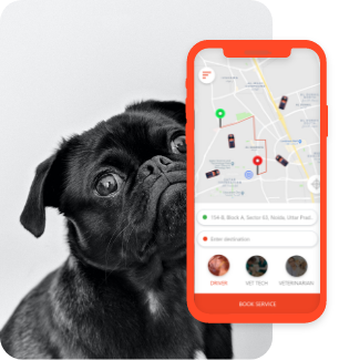 ui/ux design-development-agency